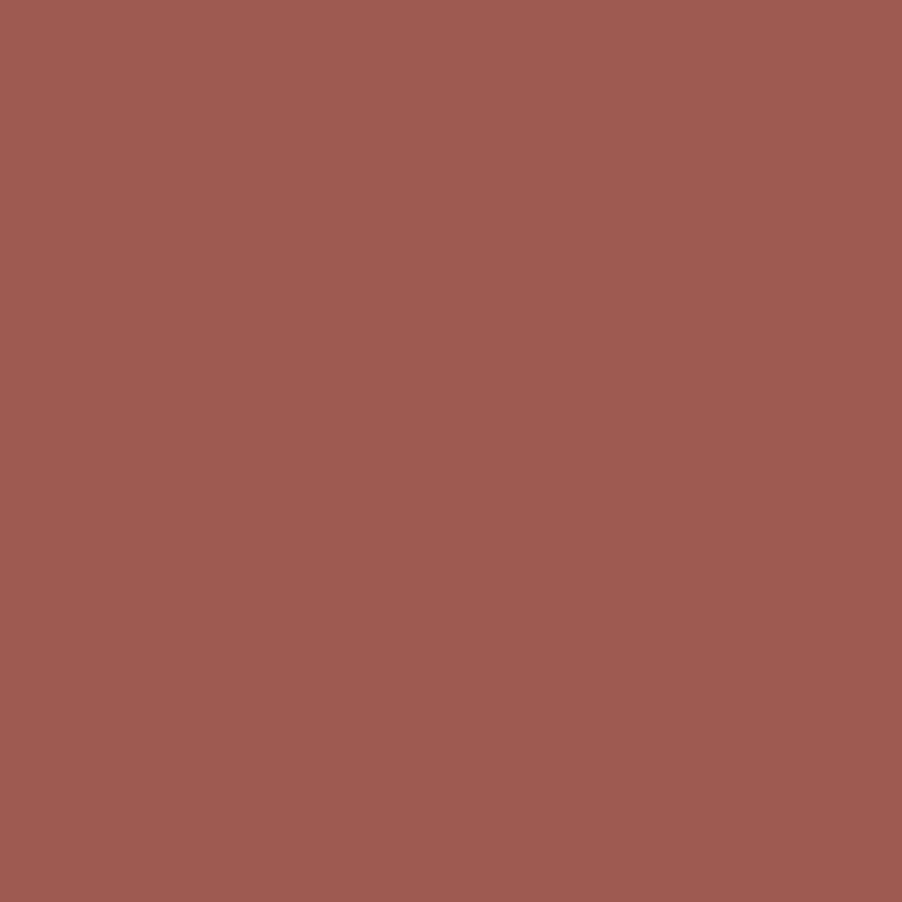 bareMinerals Mineralist Lasting Lip Liner 1.3g - Blissful Blush