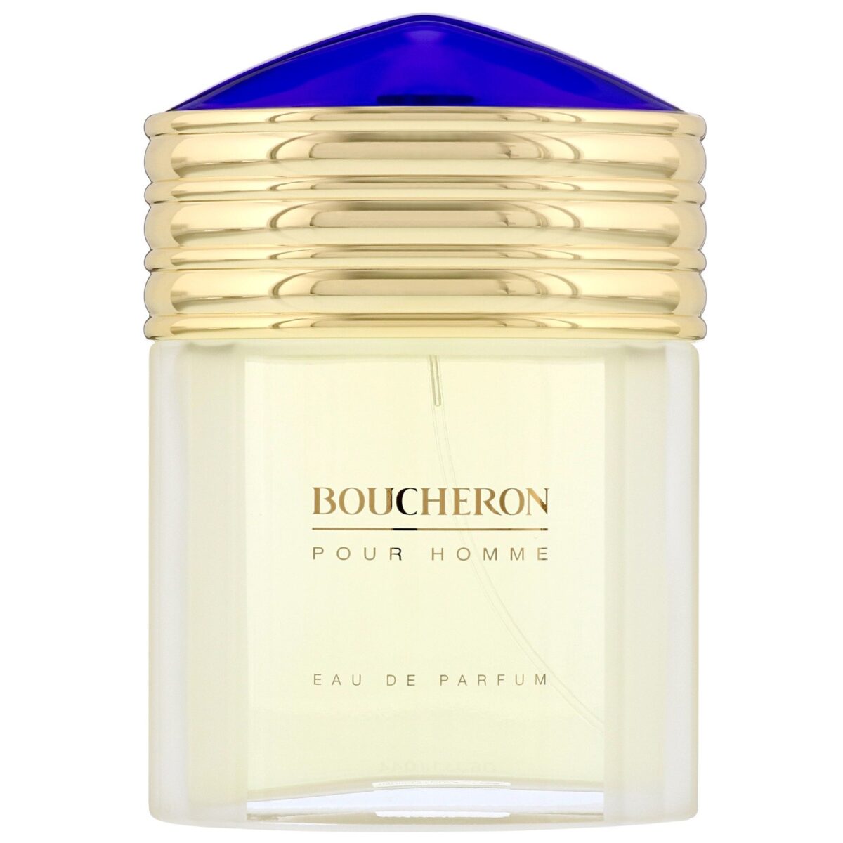 Boucheron Pour Homme Eau de Parfum 100ml Spray