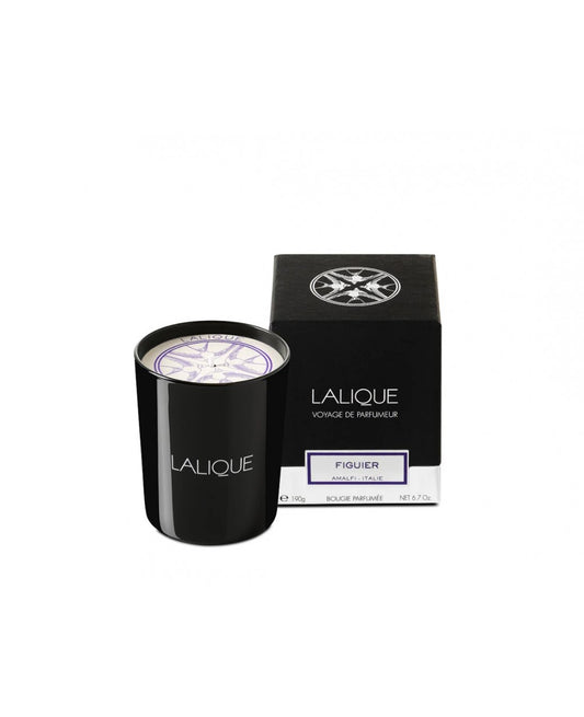 Lalique Candle 600g - Figuier Amalfi