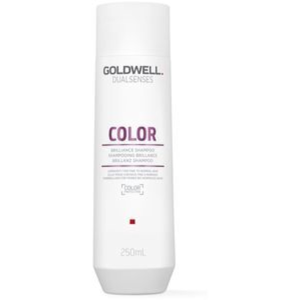 Goldwell Dualsenses Color Extra Rich Shampoo 1000ml