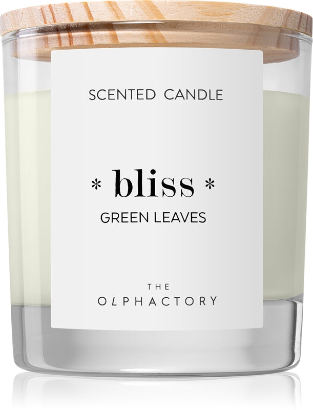 The Olphactory Bliss Green Leaves Scented Candle 360g