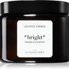 The Olphactory Bright Orange Cinnamon Diffuser 500ml