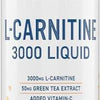 L-Carnitine Liquid 3000, Tangy Orange - 480 ml. - Tangy Orange