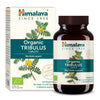 Tribulus - 60 caplets (EAN 605069407014)