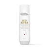 Goldwell Dualsenses Rich Repair Restoring Shampoo 1000ml