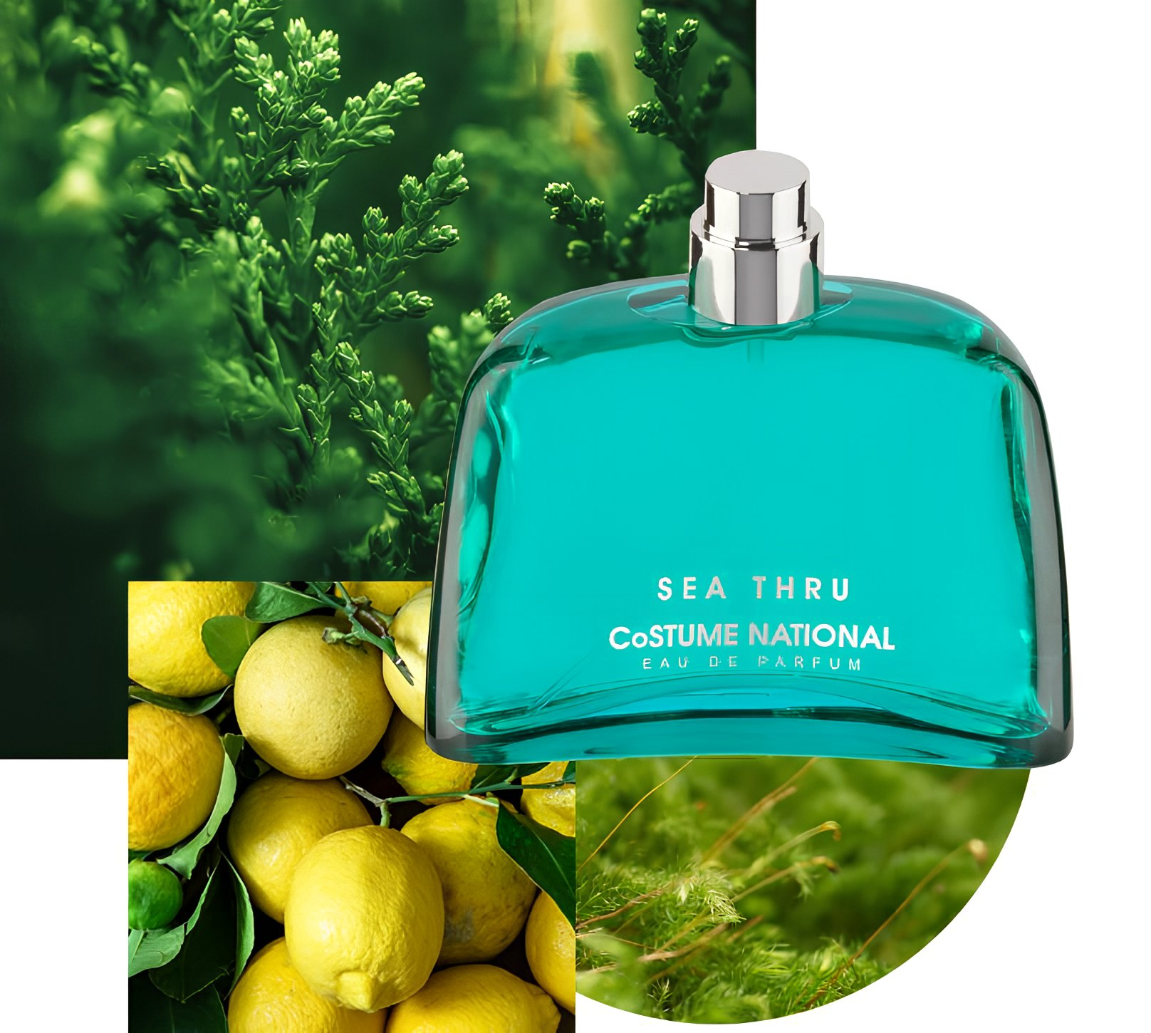 Costume National Sea Thru Eau de Parfum 100ml Spray