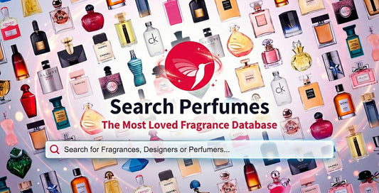 Louis Cardin Adore Eau de Parfum 100ml Spray